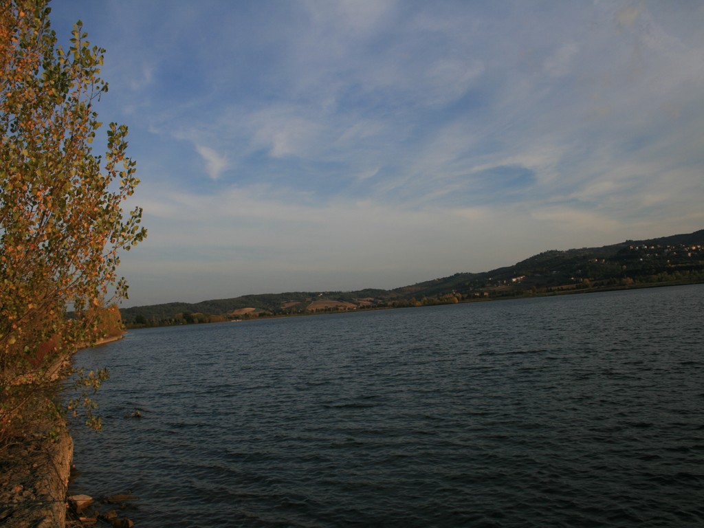 Immagine 163.jpg