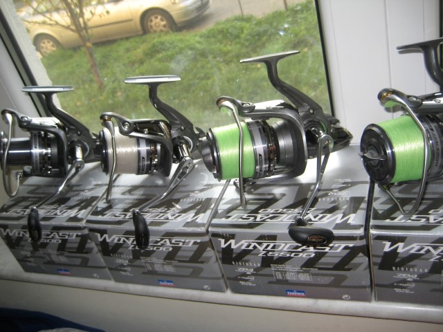 IMG_7229 (Large) (Small).JPG