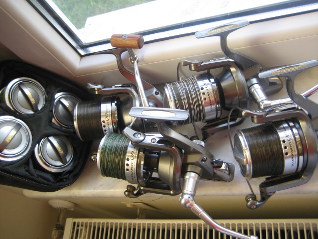 IMG_7433 (Small).JPG