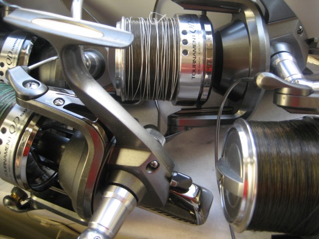 IMG_7434 (Small).JPG