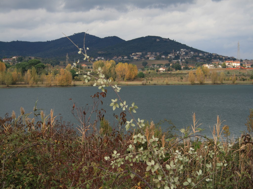 Immagine 182.jpg