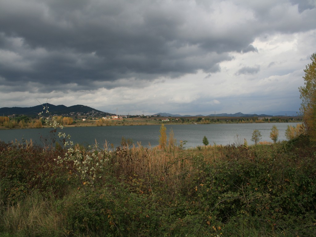 Immagine 180.jpg