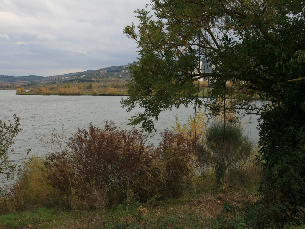 Immagine 179.jpg