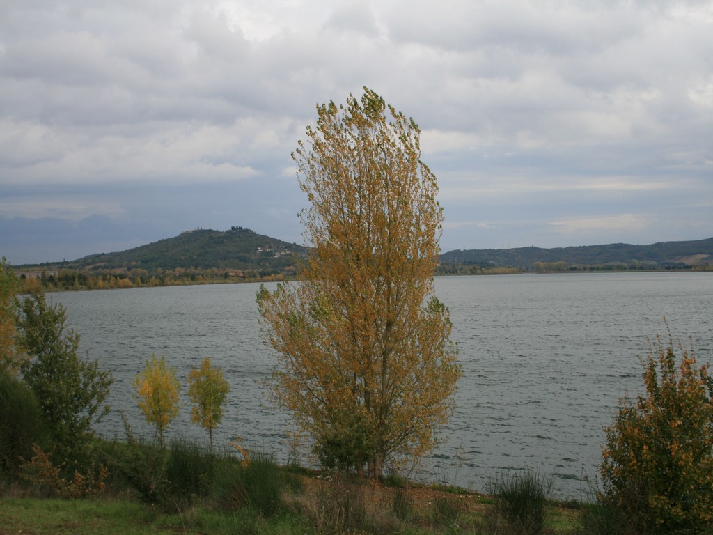 Immagine 178.jpg