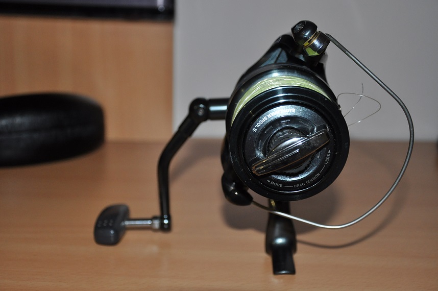 DSC_2613.JPG