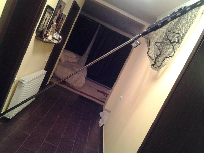 20131210_063816 (1).jpg