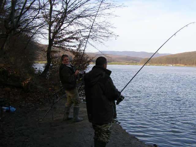harsany1 027.jpg