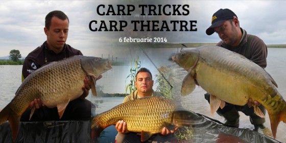 carp-tricks-theatre-560x280.jpg