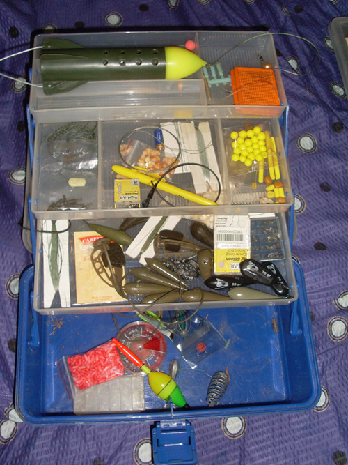 SL374846.JPG