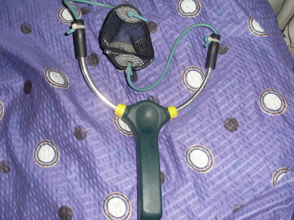 SL374848.JPG