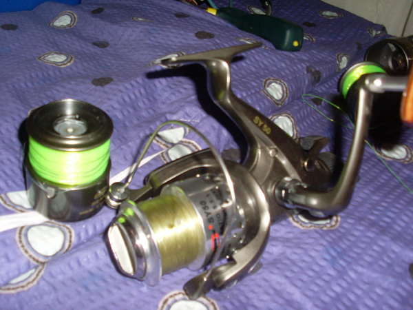 SL374849.JPG