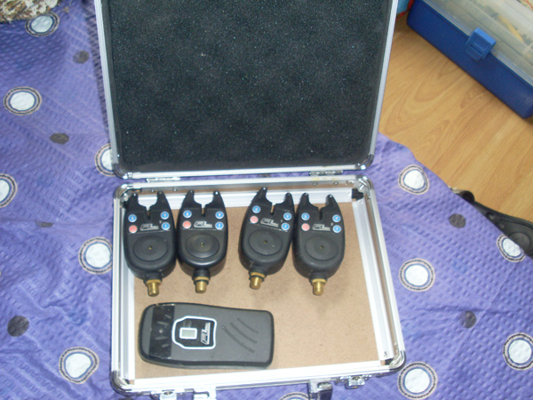 SL374855.JPG