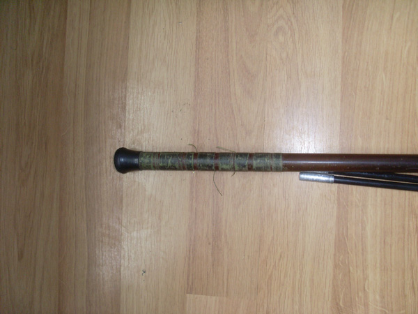 SL374857.JPG