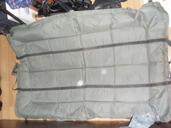SL374861.JPG