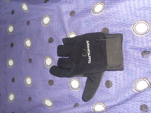 SL374868.JPG