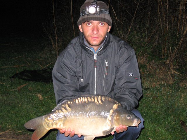 salonta darvari 3.600.JPG