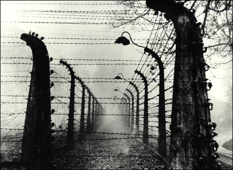 auschwitz_fence_470_470x343.jpg