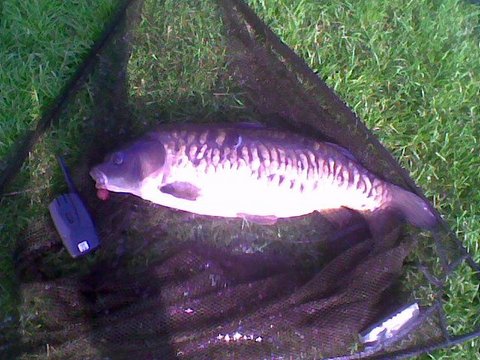 Image043.jpg