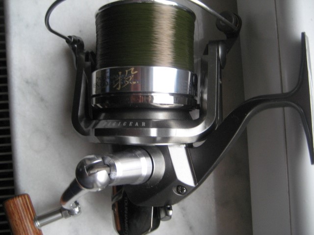 IMG_7516 (Small).JPG