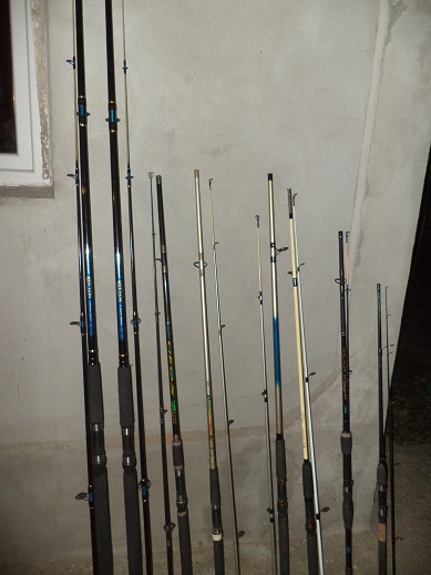 poze 016.JPG
