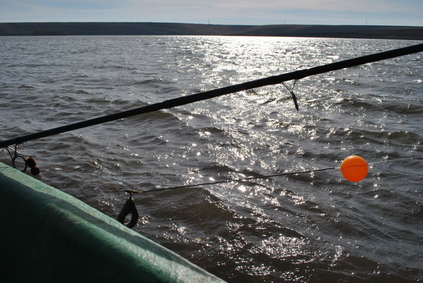 DSC_0024.jpg
