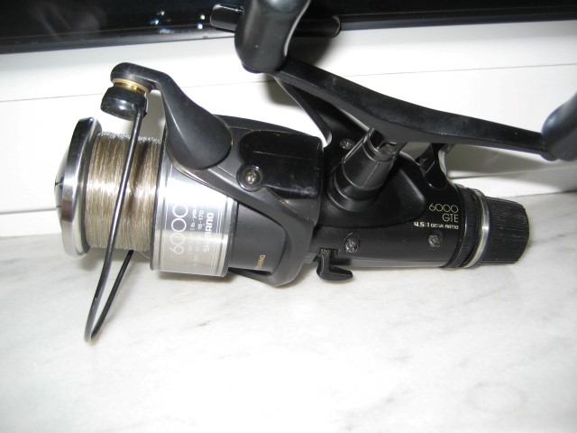 IMG_7539 (Small).JPG