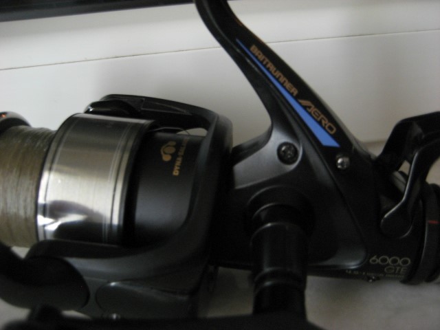 IMG_7541 (Small).JPG