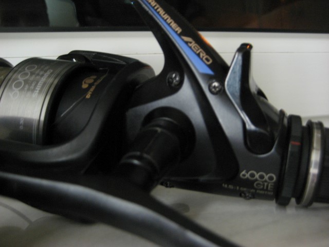 IMG_7544 (Small).JPG