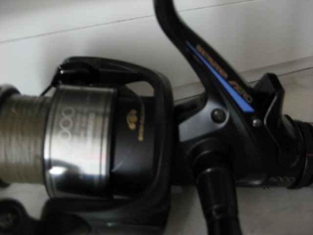 IMG_7542 (Small).JPG