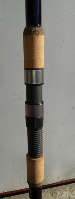 lansete2mic.jpg