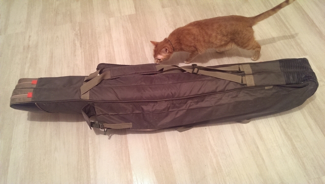 Motanul din imagine este cu titlu de prezentare. :))