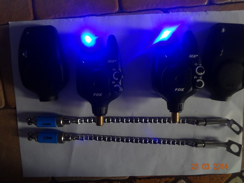 DSC08286.JPG