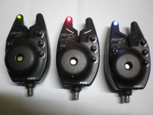 PB290211.JPG
