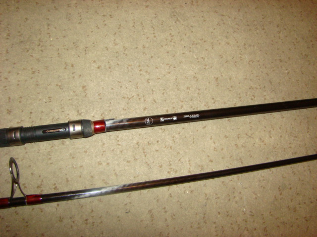 DSC08010.JPG