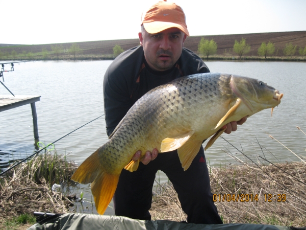 Primele capturi pe Magura9........total 80 kg in numai 10h.........multumesc MG SPECIAL
