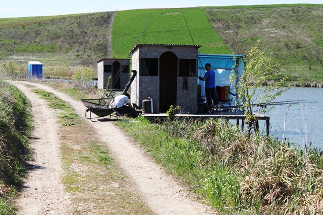 191.JPG
