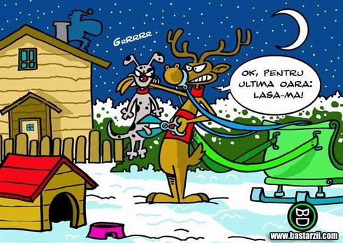 Rudolf.jpg