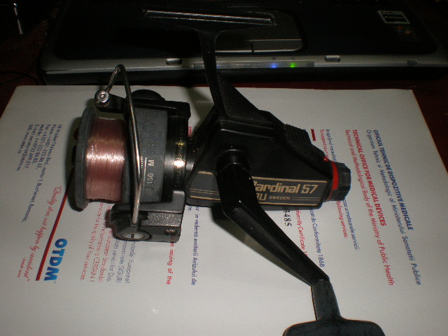 PC160013.JPG