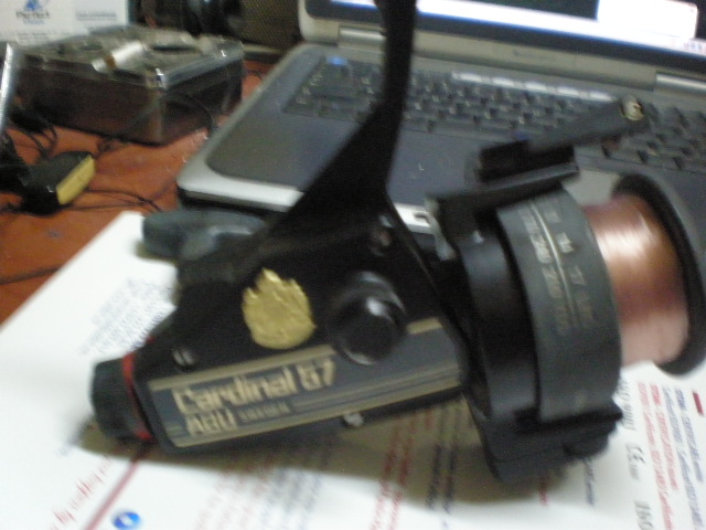 PC160016.JPG
