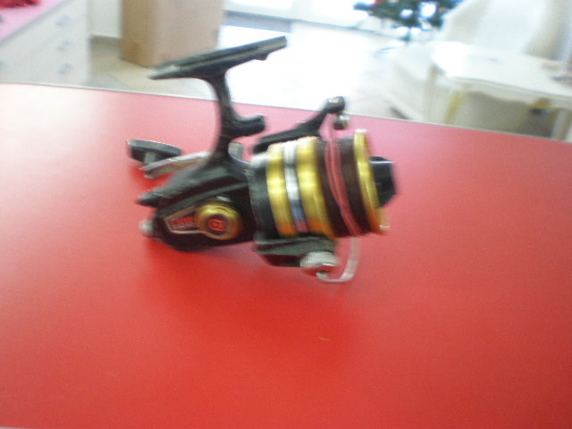 PC180069.JPG