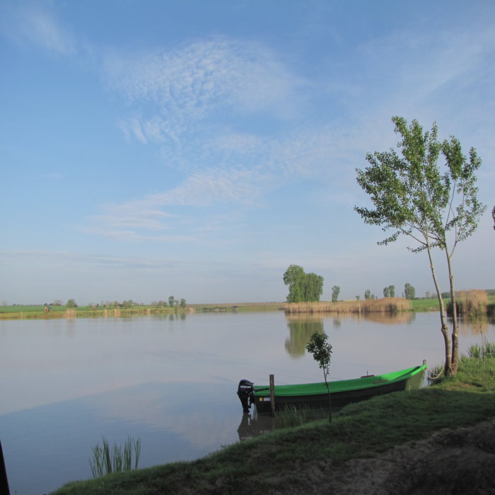 rsz_img_2572.jpg