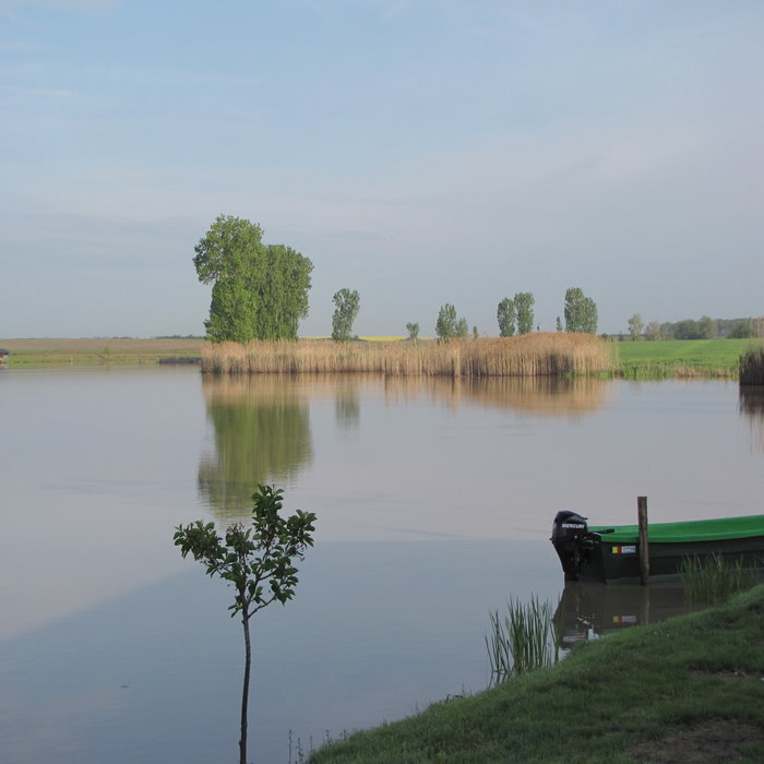 rsz_img_2580.jpg