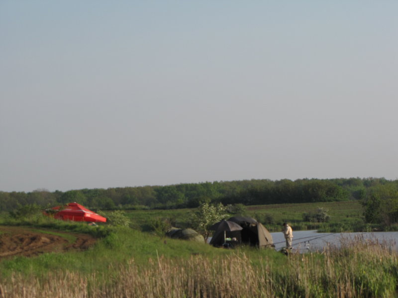 rsz_img_2745.jpg