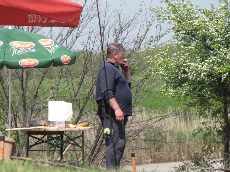 rsz_img_2786.jpg