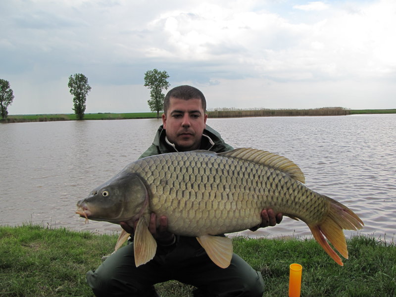 rsz_img_2838.jpg