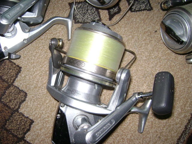 Picture 124.jpg