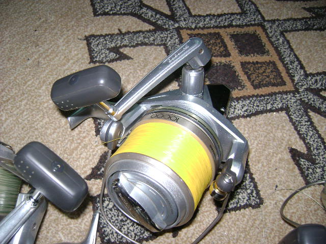 Picture 127.jpg