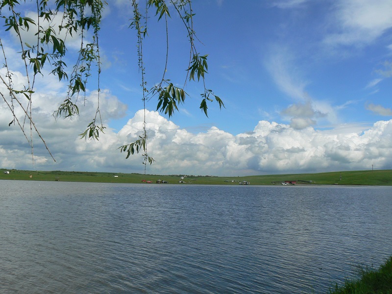 P1200790.jpg