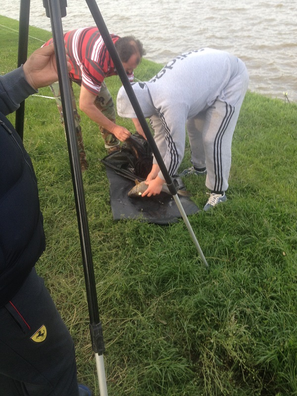 poze concurs babaita 243.jpg