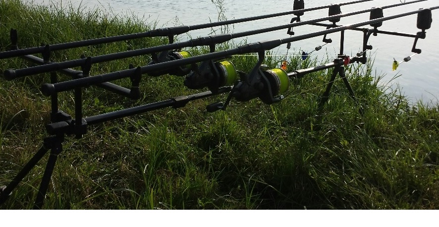 Rod Pod FOX.jpg 1.jpg